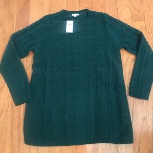 J Jill sweater NWT!